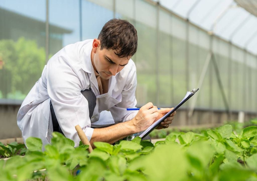 Jovem agricultor Jovem agricultor