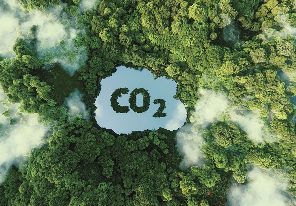 O solo pode ser tanto um sumidouro, sequestrando carbono, quanto uma fonte para a atmosfera. O solo pode ser tanto um sumidouro, sequestrando carbono, quanto uma fonte para a atmosfera.