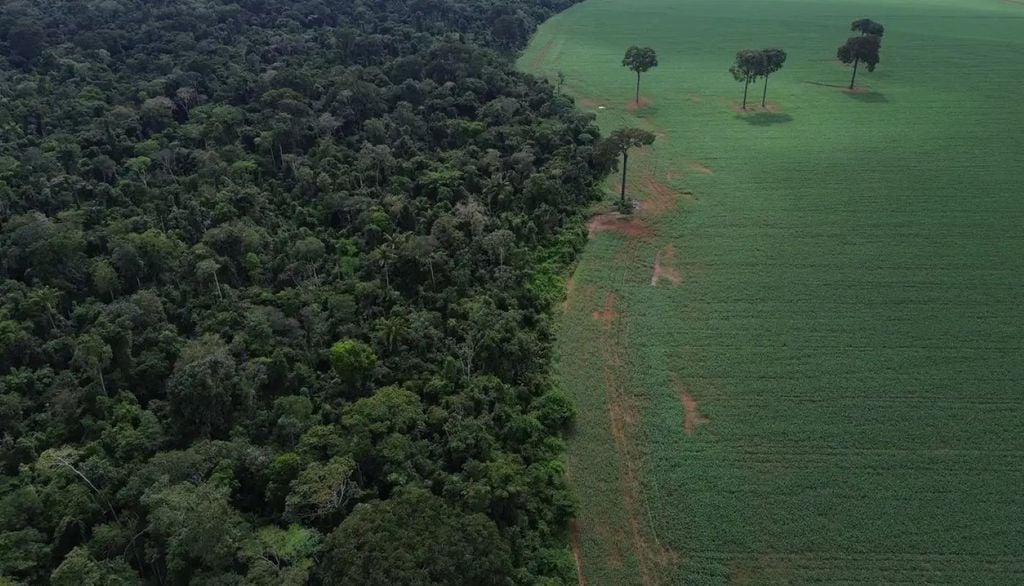 Agro cresce 561% no entorno de áreas protegidas na Amazônia em 41 ano Agro cresce 561% no entorno de áreas protegidas na Amazônia em 41 anos. Crédito: Fernando Frazão/Agência Brasil