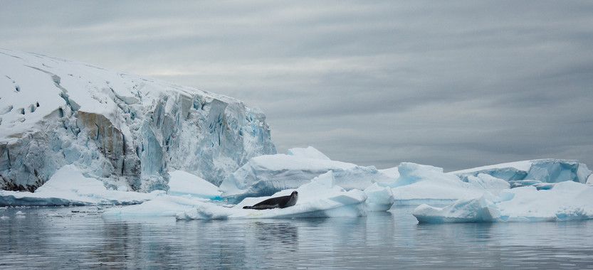 Los autores del estudio han observado una fusión intensa y desequilibrada de los glaciares de la Antártida Occidental entre 2002 y 2009.