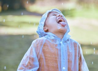 Água da chuva: afinal, é pura ou suja? Podemos bebê-la naturalmente?