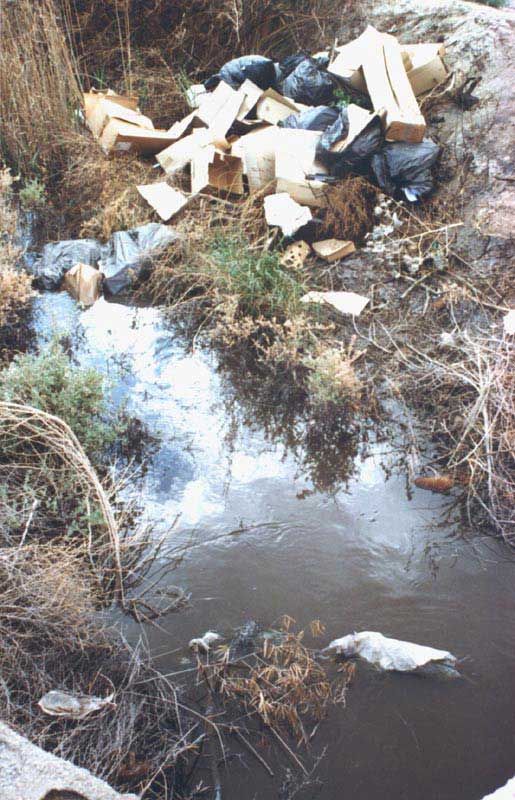 Vertidos sólidos en ríos