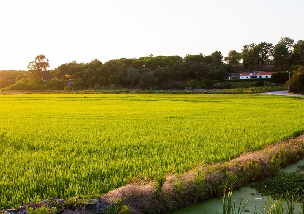O aumento das extrações para consumos urbanos, agrícolas e industriais intensifica a pressão sobre os sistemas aquíferos. Foto: Projeto Marclaimed