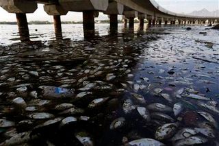 Aguas residuales y peces