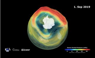 Agujero de ozono de 2019: el más pequeño de los últimos 30 años