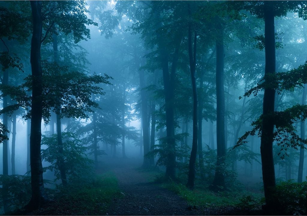 ¡El frío regresa a México!