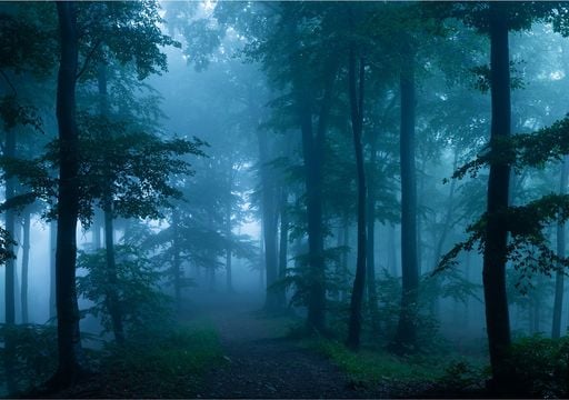 &iexcl;El fr&iacute;o regresa a M&eacute;xico! Nuevo frente frio y su masa polar-&aacute;rtica traer&aacute;n tiempo invernal con lluvias, viento y nieve