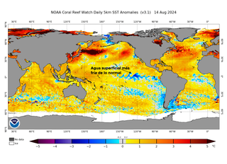 Nueva actualización de La Niña: ¿ya es el momento de su llegada?