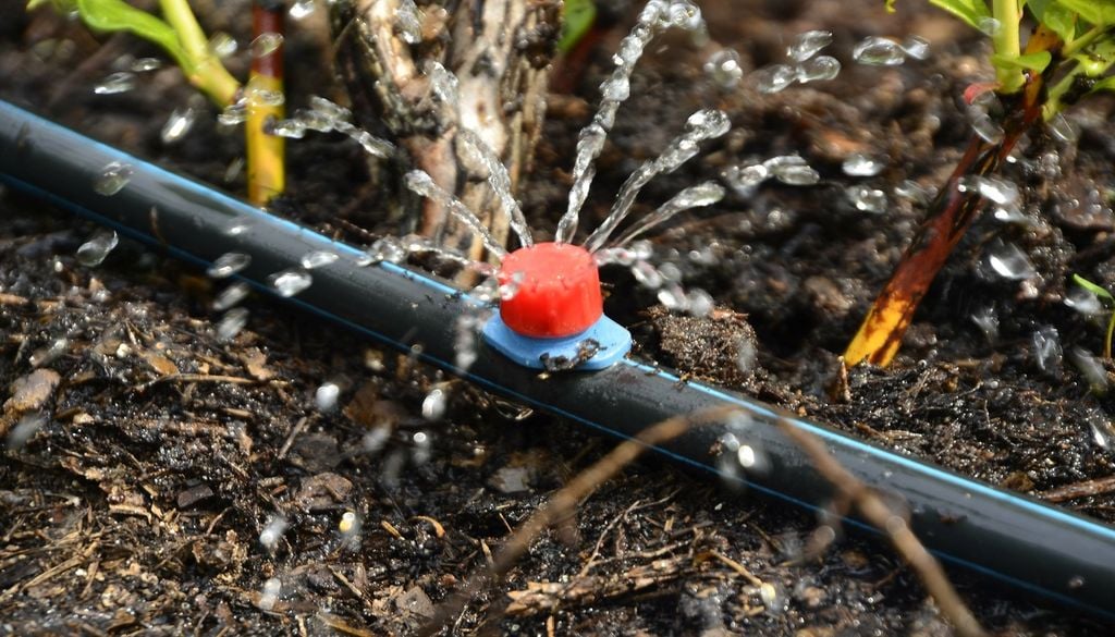 Imagen 1 El riego por goteo supone una optimización adecuada del agua