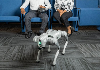 AI being used to bring robotic dog Snowy “to life” with receptivity to the owner's state
