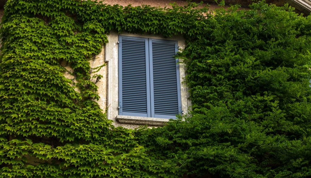Las fachadas con vegetación pueden reducir la temperatura del interior de las viviendas.