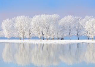 Aire ártico con nevadas, lluvias y heladas esta semana en México