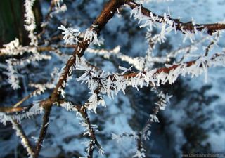 Aire polar ártico con efectos importantes en México