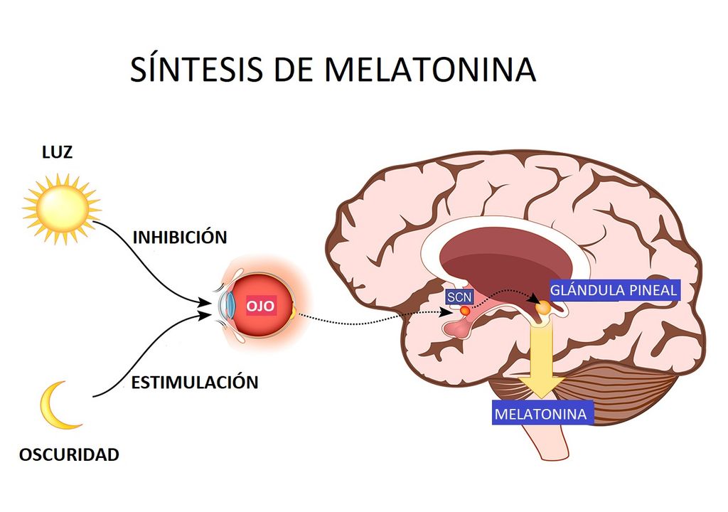 melatonina, ar frio, sono melatonina, ar frio, sono