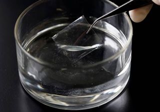 Ajudando os oceanos: cientistas criam plástico que se dissolve na água salgada e em poucas horas