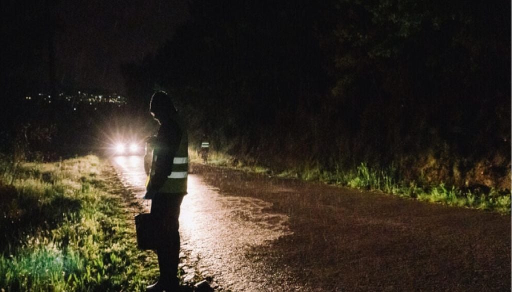 Baldes, galochas, lanternas e coletes refletores são tudo o que é preciso para ajudar os sapos comuns a atravessar a estrada em segurança. Foto: Município de Lousada