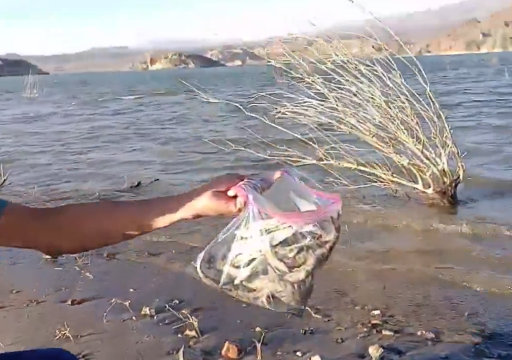 Peces muertos en el dique Cuesta del Viento San Juan