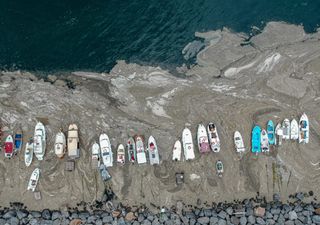 Alarma por “moco gigante” que invade las playas de Turquía