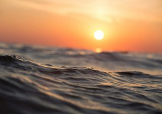 Alarming: scientists discover that heat waves also reach the bottom of the ocean