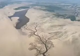 Mengkhawatirkan: Danau air tawar terbesar di China mengering!