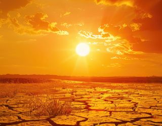 Alarmierende Wetter-Trends: "Das sieht nicht gut aus" Nach Februar und März könnte der April nun nachziehen