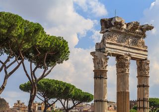 Una minaccia invisibile rischia di modificare per sempre il paesaggio di Roma