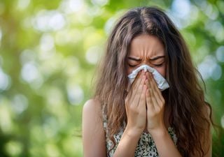 Alergia al plátano: ¿sabías que el árbol más cuestionado de la ciudad es un aliado silencioso que aporta beneficios?