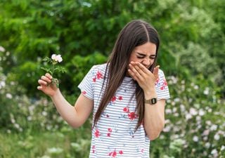 Alergia primaveral: síntomas y tratamientos para combatirla