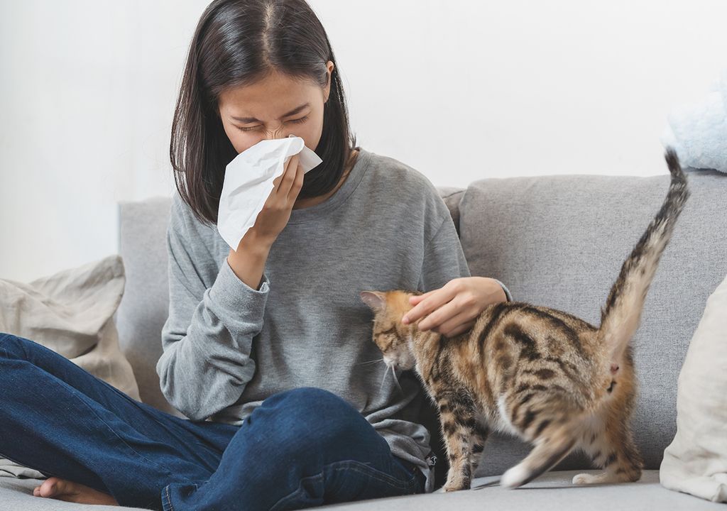 alergias de otoño polen ácaros viento frío mascotas alergias de otoño polen ácaros viento frío mascotas