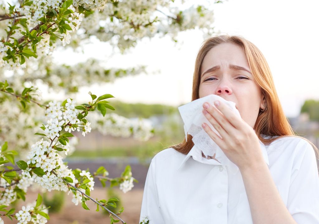 Alergias de primavera