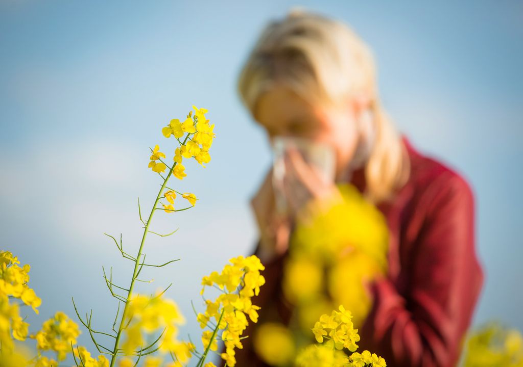 Alergia polen proximos días España
