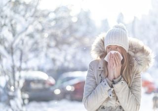 Alergias en invierno: ¿cuáles son? ¿Son naturales o 'alteradas'?
