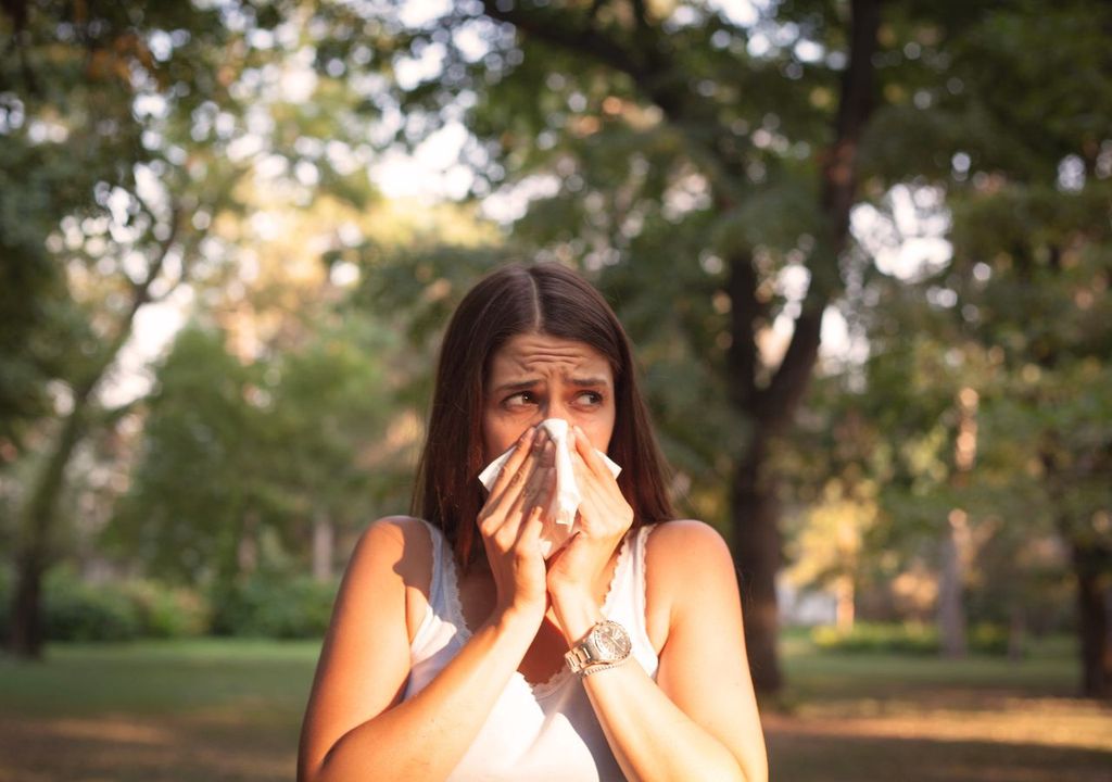 Las alergias estacionales son cada vez más frecuentes y de larga duración. En Chile, se evidencia mucho este fenómeno.