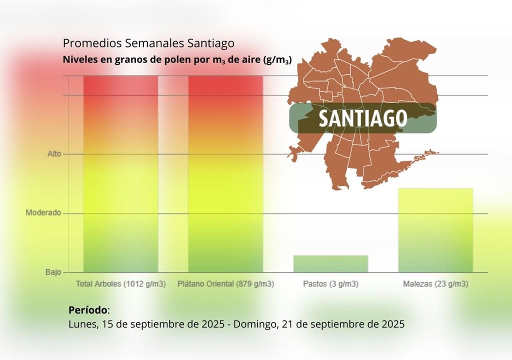 En Santiago, la alta concentración de árboles ornamentales como el plátano oriental genera niveles de polen (g/m3) que afectan a gran parte de la población cada año. Fuente: polenes.cl