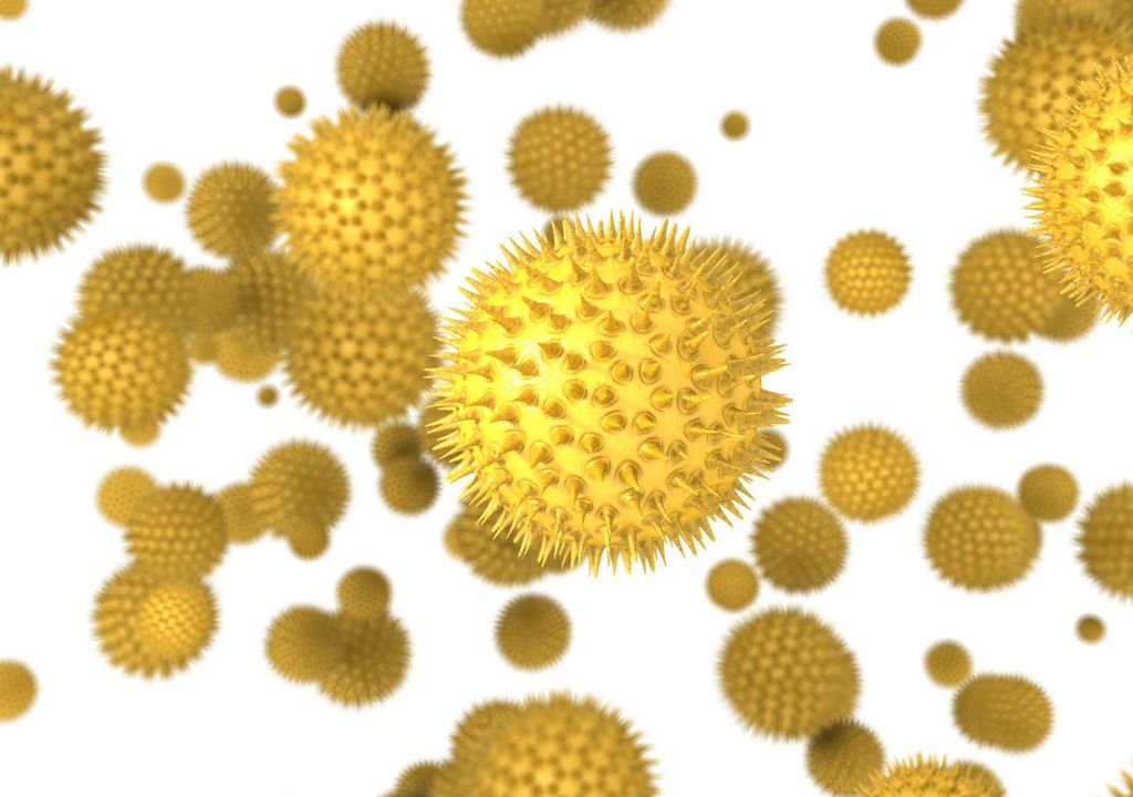 El polen es un conjunto de diminutos granos producidos por las plantas con flores, que contienen las células reproductoras masculinas.