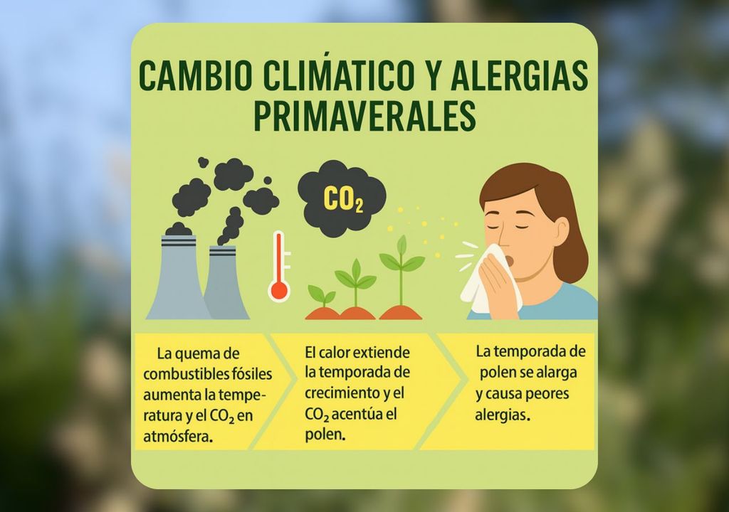 El incremento en la concentración de dióxido de carbono estimula a algunas plantas a liberar más granos de polen, y de mayor potencia alergénica. Fuente: Blog Meteochile