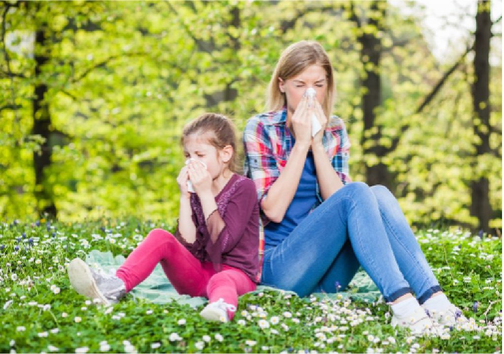 Primavera alergias