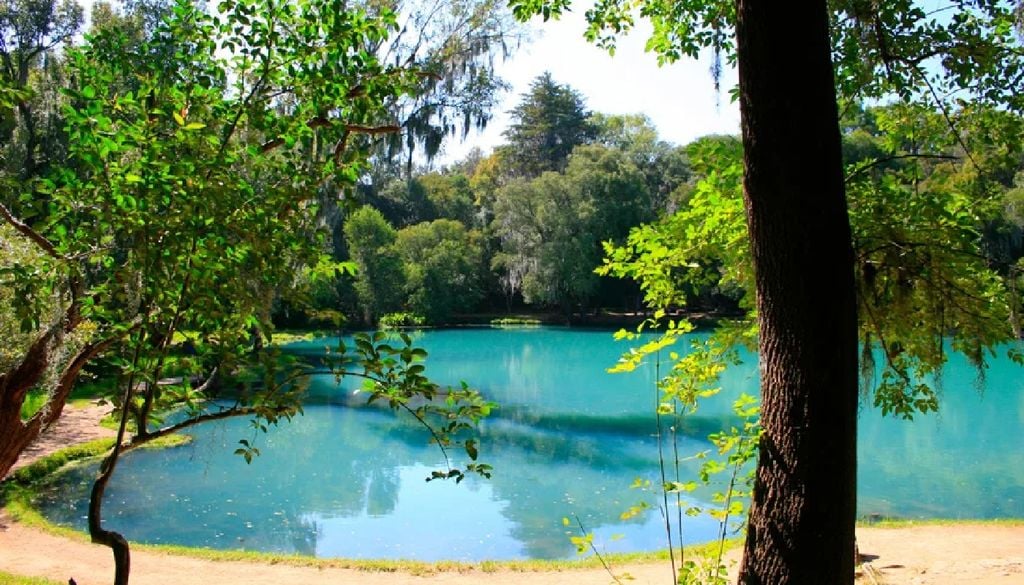 El territorio es de alta importancia por ser un área de recarga de acuíferos. Imagen Hidalgo - Turismo.