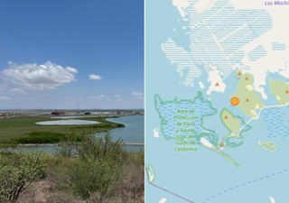 Alerta ambiental en Sinaloa: Comunidad Yoreme Mayo enfrenta a GPO para proteger la Bahía de Ohuira