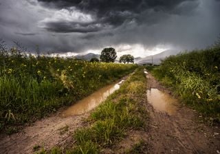 Alerta da Proteção Civil: Chuva, vento, neve e mar agitado!