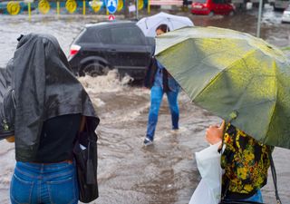 Alerta de chuvas muito volumosas e intensas na Região Nordeste