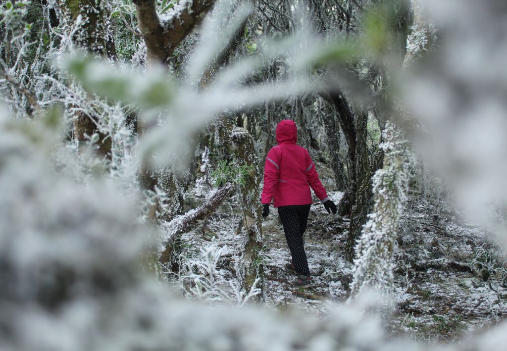 Fotógrafo registra moradora andando em meio a neve em Urupema/SC. Fonte: Adobe Stock. Fotógrafo registra moradora andando em meio a neve em Urupema/SC. Fonte: Adobe Stock.