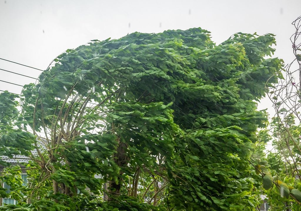 Temporal ventoso estará en México próximos días