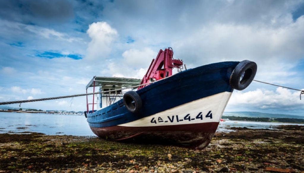 Quedó restringida la pesca de moluscos en Baja California por la marea roja. Esta restringida la pesca de moluscos en Baja California por la marea roja.