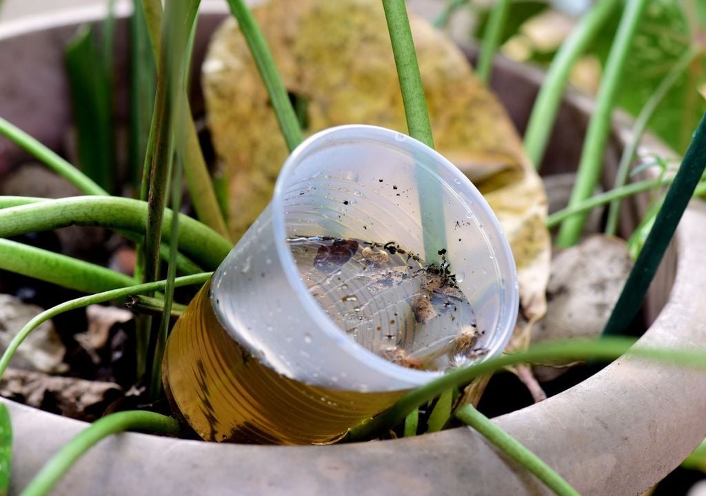 Agua estancada Agua estancada