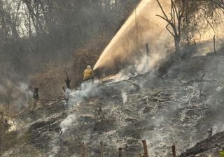 Alerta en Nayarit, un extenso incendio en La Cruz de Huanacaxtle consume 700 hect&aacute;reas