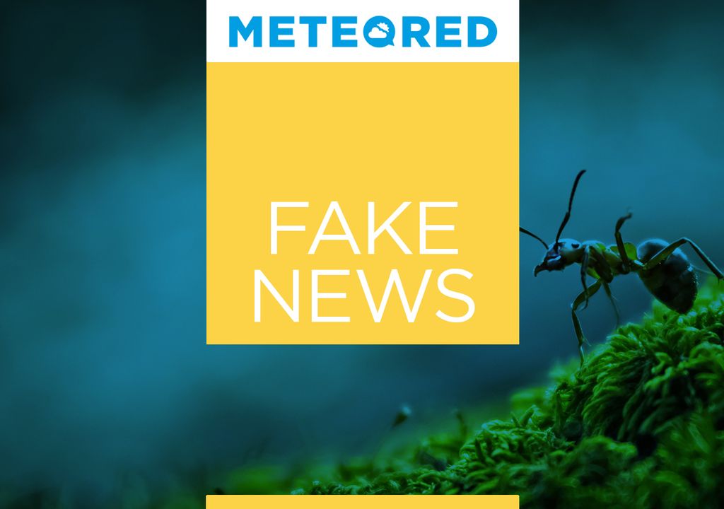 fake news; formigas; chuva; seca