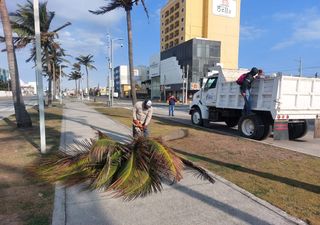 Alerta Gris en Veracruz debido a intenso evento de "Norte"