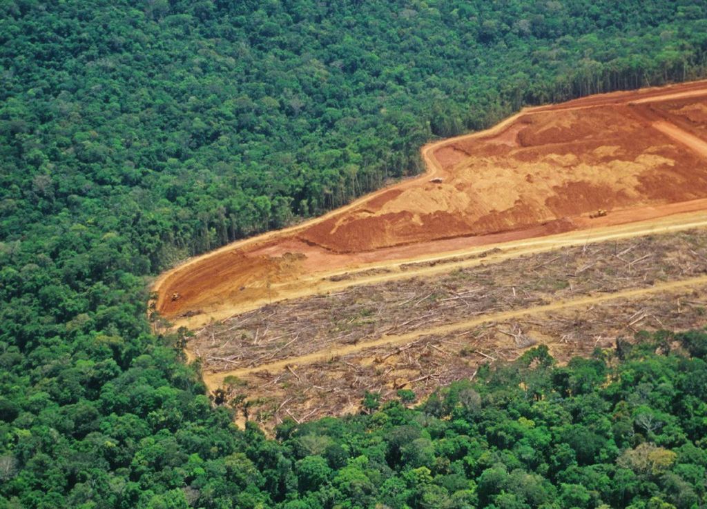 desmatamento na Amazônia desmatamento na Amazônia