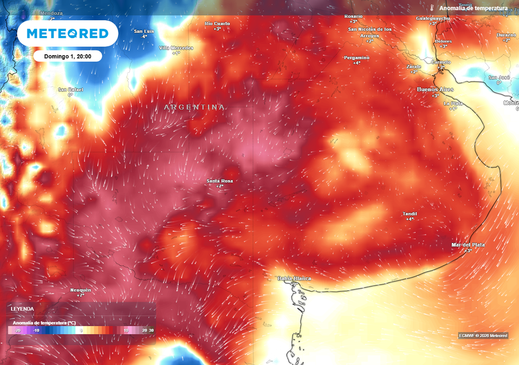Alerta, Tormenta, Calor, Ola de Calor, Argentina, Cuyo, Buenos Aires, Pronóstico, Tiempo, Clima Anomalía de temperatura prevista para este domingo según el modelo ECMWF